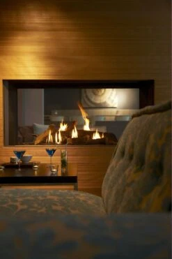 Gaskamin Dru Cosmo Tunnel RCH -FeuerLust Verkäufe 5908 1